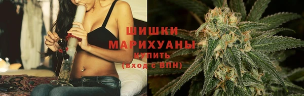 мдпв Волосово