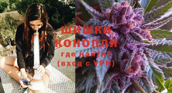 мдпв Волосово