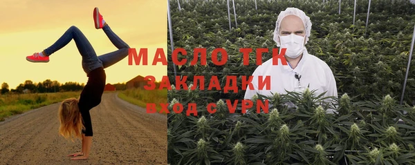 гидра Горно-Алтайск