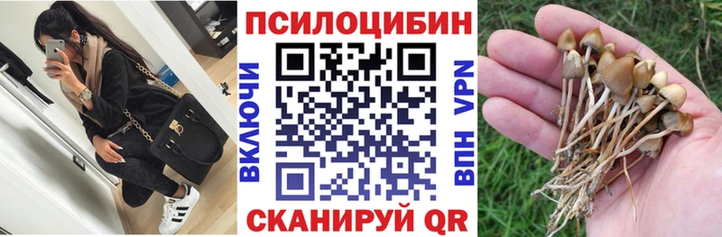 blacksprut   Дудинка  Псилоцибиновые грибы MAGIC MUSHROOMS 
